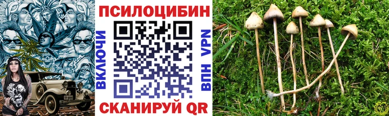 закладки  Урюпинск  Галлюциногенные грибы Magic Shrooms 